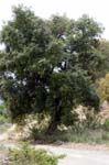 _MG_7045-Editar