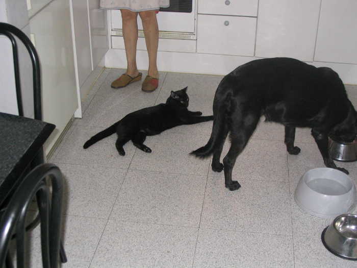 Imagen 001