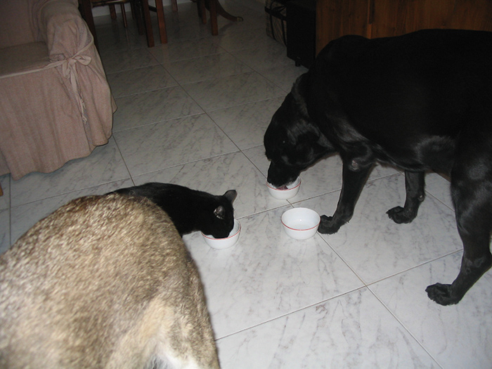 Imagen 007