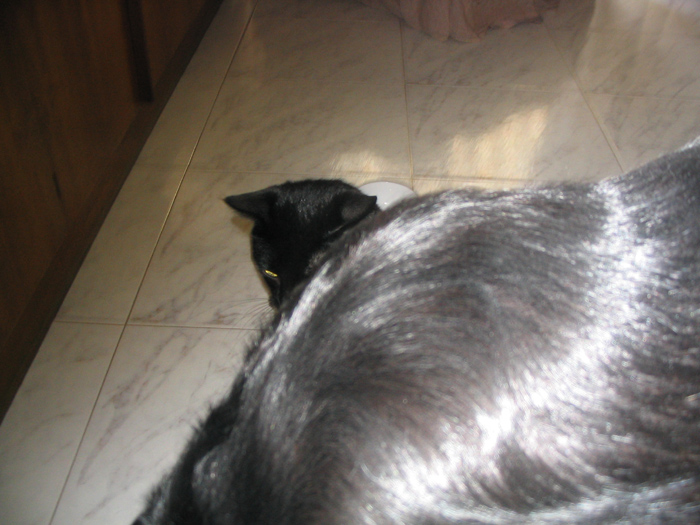 Imagen 009