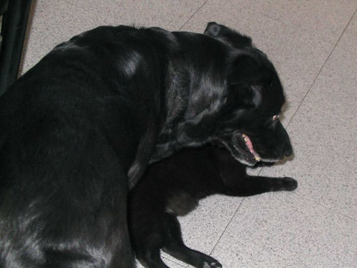 Imagen 012