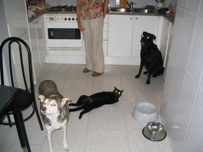 Imagen 017