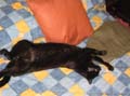 Imagen 016